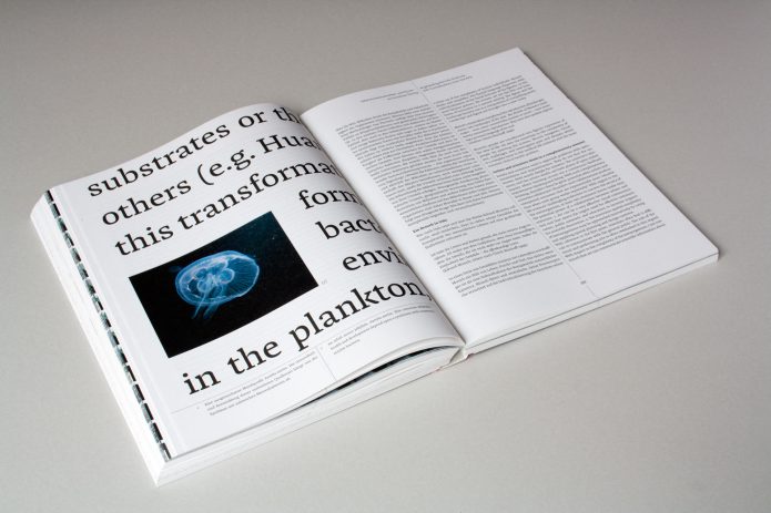 Image: Teresa Döge & Björn Schmidt